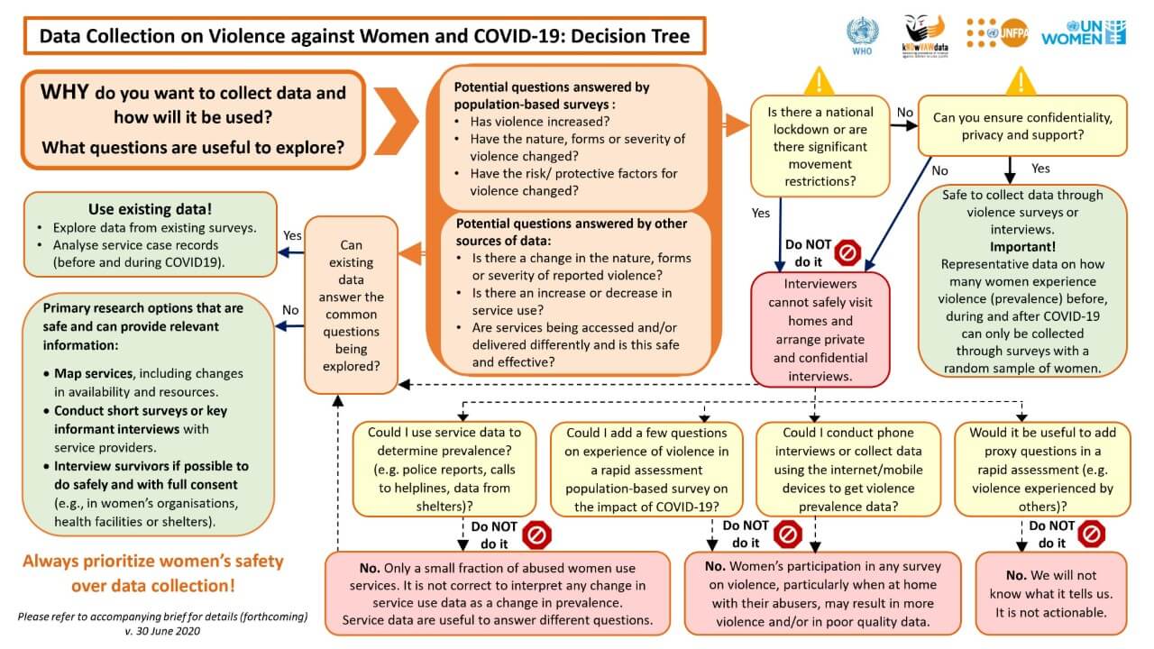 Decision tree: Data collection on violence against women and COVID-19